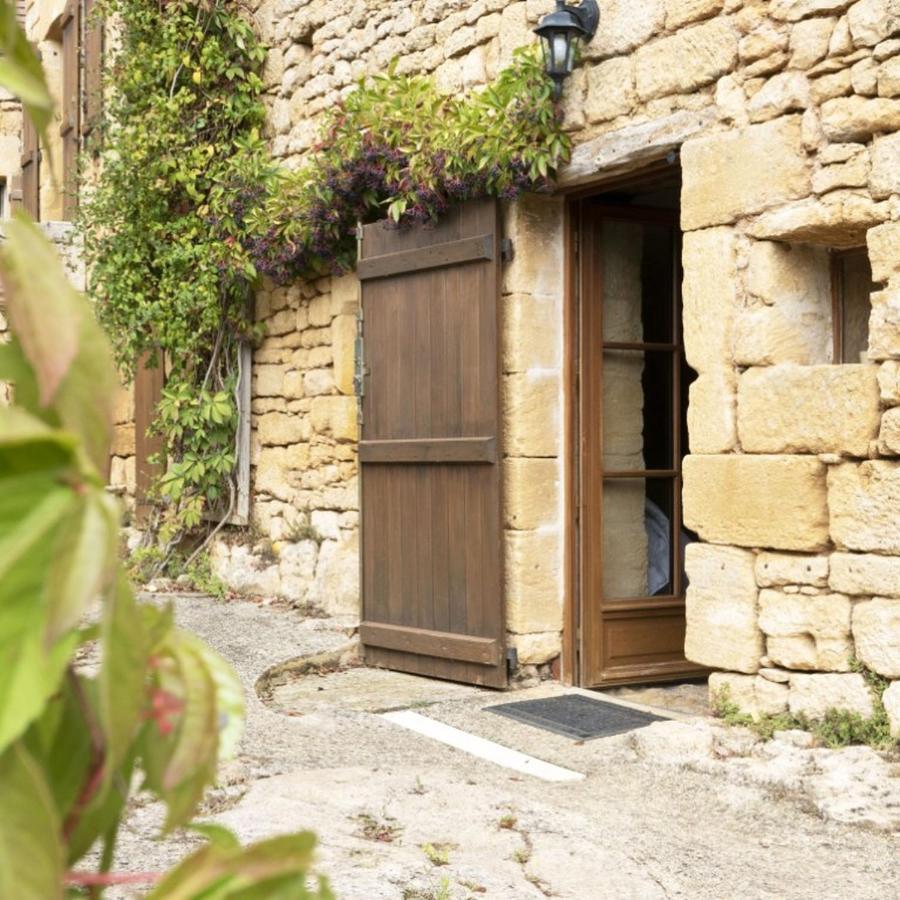 Domaine De Cantegrel - Gites De Charme Et Suite Troglodyte En Perigord Vitrac  Esterno foto