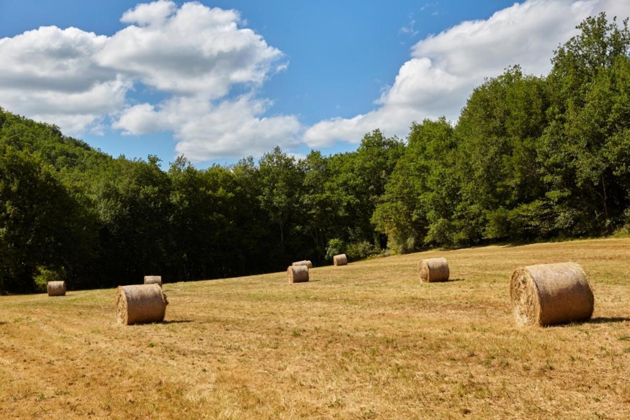 Domaine De Cantegrel - Gites De Charme Et Suite Troglodyte En Perigord Vitrac  Esterno foto
