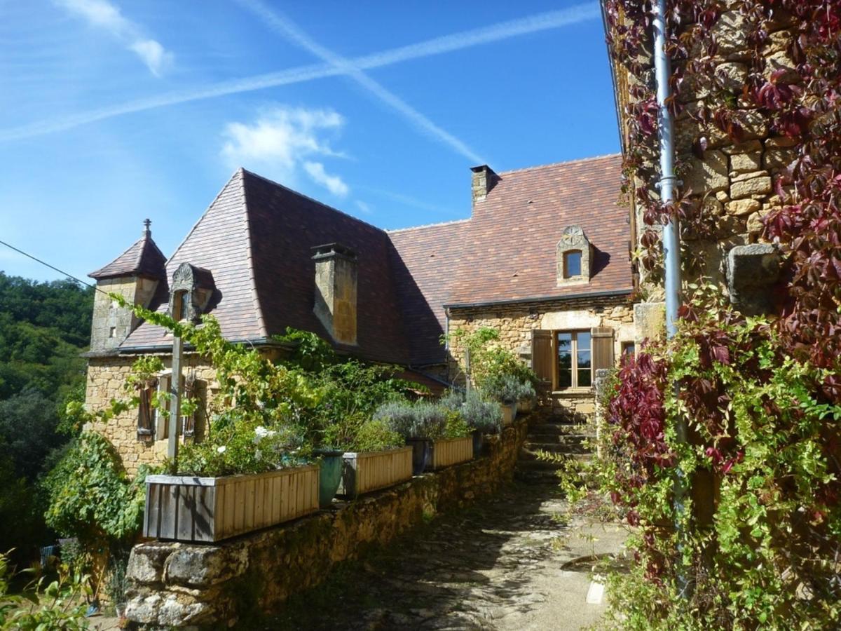 Domaine De Cantegrel - Gites De Charme Et Suite Troglodyte En Perigord Vitrac  Esterno foto