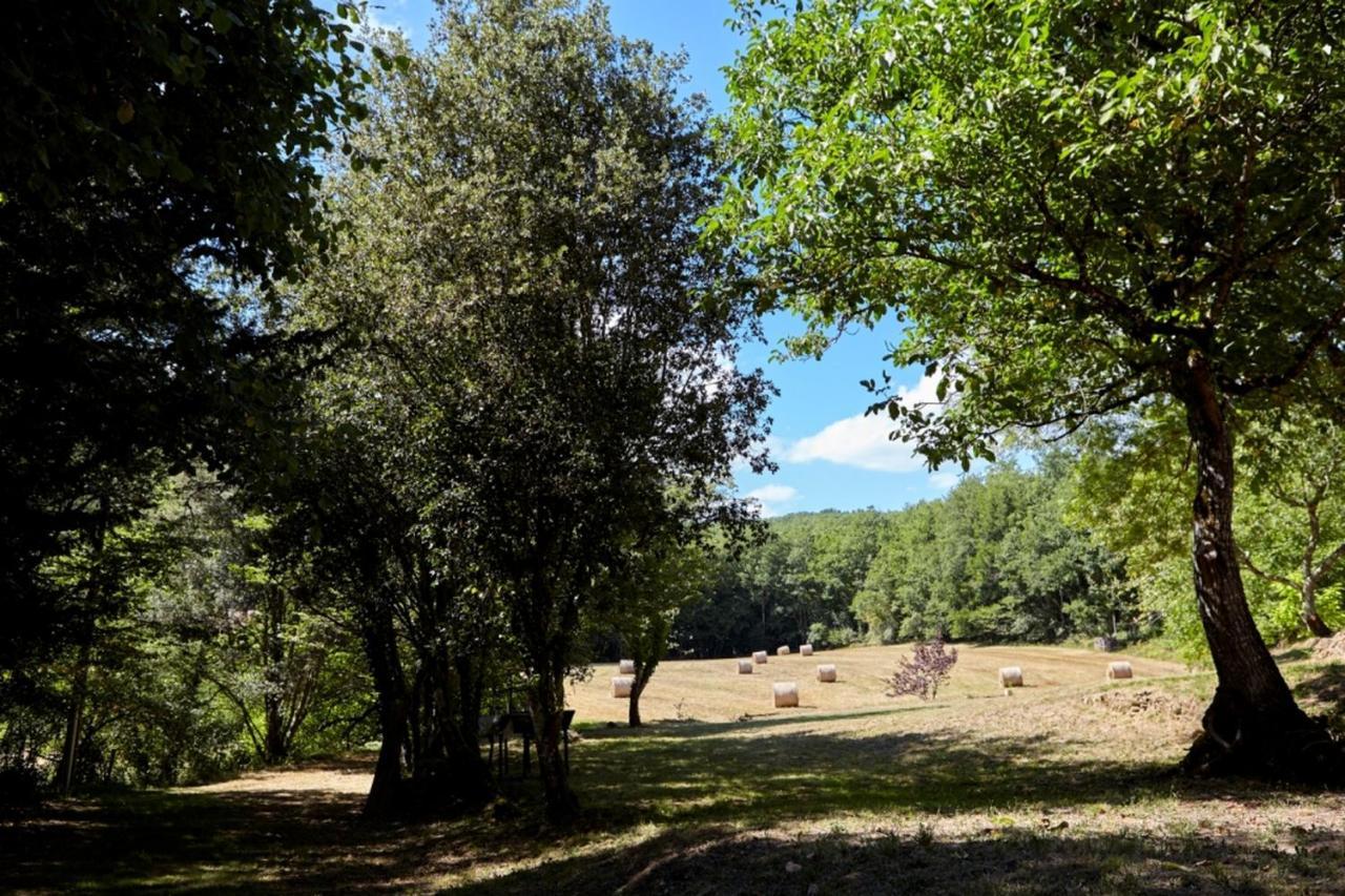 Domaine De Cantegrel - Gites De Charme Et Suite Troglodyte En Perigord Vitrac  Esterno foto