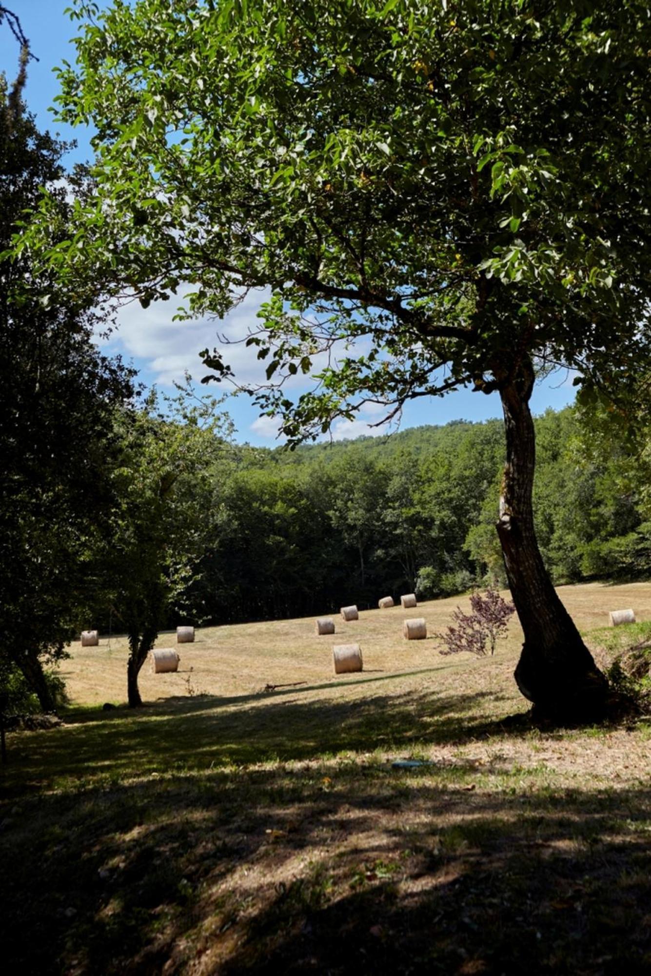 Domaine De Cantegrel - Gites De Charme Et Suite Troglodyte En Perigord Vitrac  Esterno foto